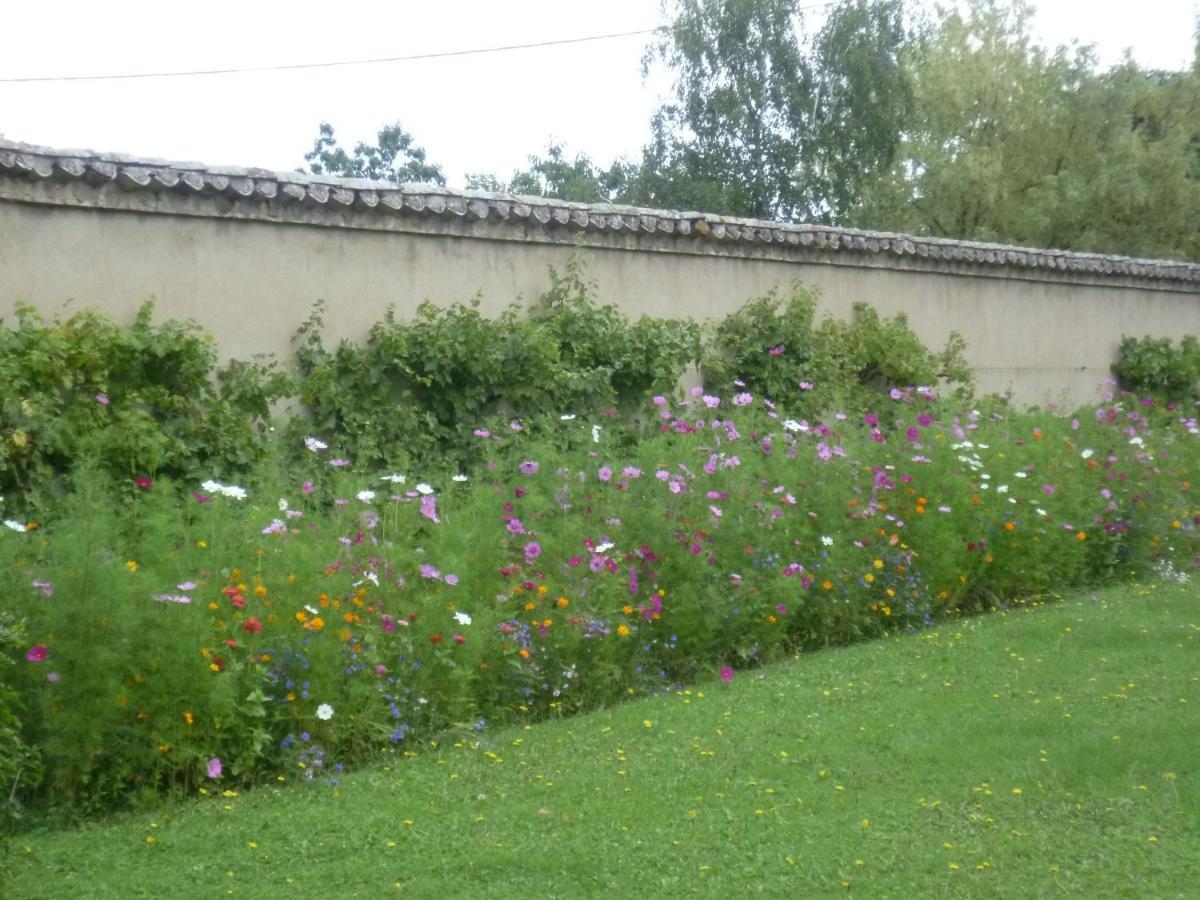 Chateau Des Charmes Guereins Dış mekan fotoğraf